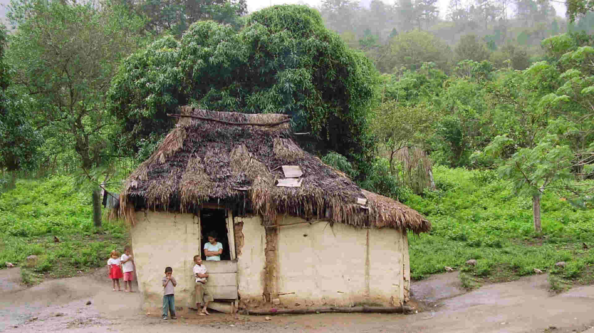 a carcaça da pobreza